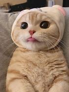 现代日常生活,数字无处不在,数字运用在我们周围,运用的多,就会形成磁场,对我们的生活形成或多或少的影响?